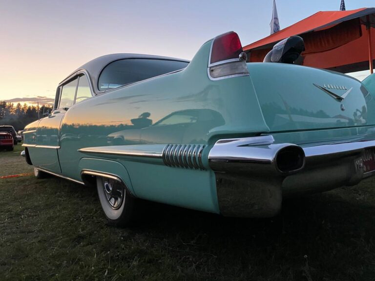 Meškino švara – American Spirit